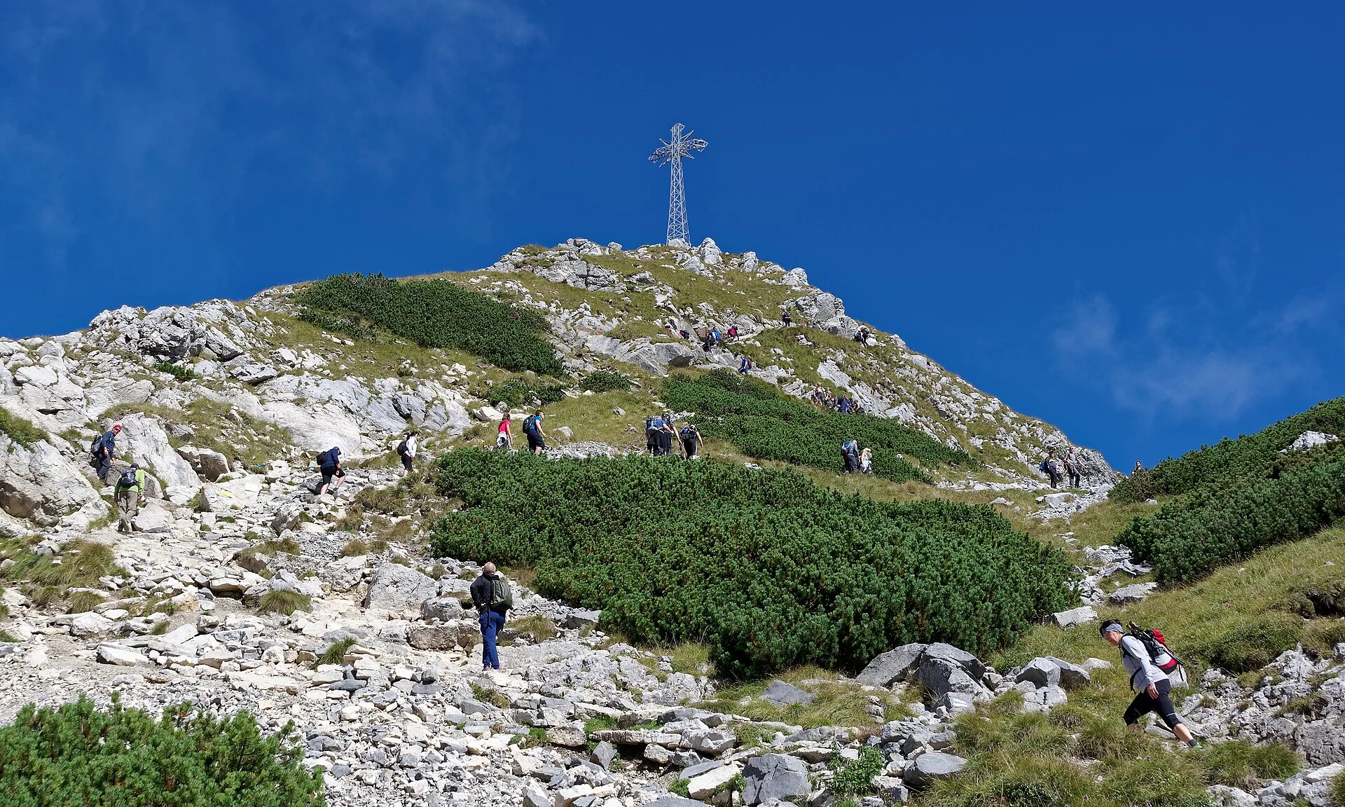 Bieszczadzkie połoniny